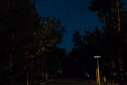 Item #44465766653785609870851624606881938772704909721973513553838201785184952516609 Media