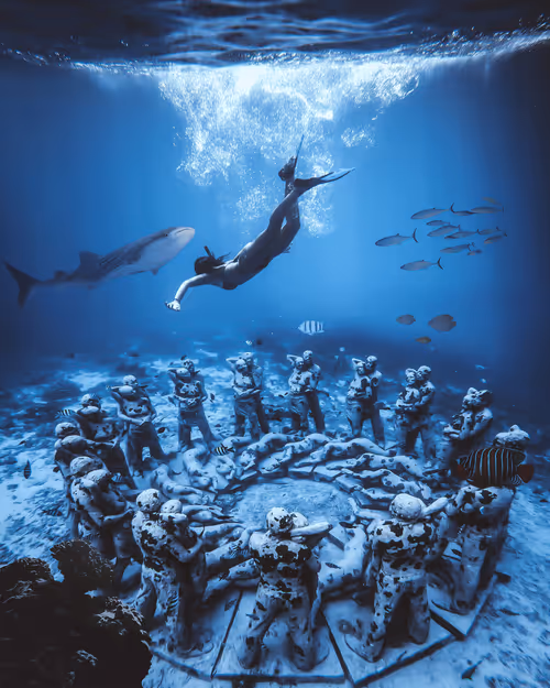 Item #5120042332681476466632520770121700592134821440612237730621647059627022483457 Media