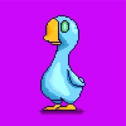 duck #02