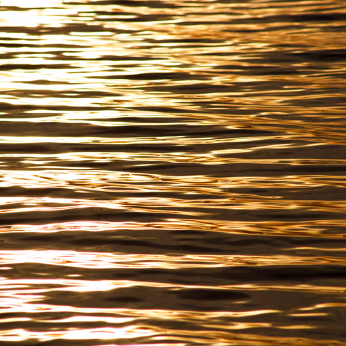 Item #110563264937173630415102547684714144673786021135482478862181301890012185362433 Media