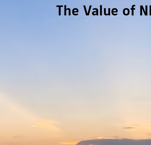 The Value Of Nfts