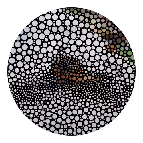 Item #73474911565276893363269127585336255498112534630235322163062143108438009315329 Media