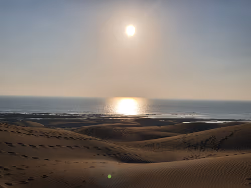 Item #15854051345547538940358171864260483403009845531481112667415573940523510005761 Media