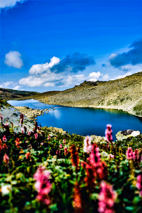 Item #106096322599603620341222276342369033024048943291878962669270680791723720835073 Media