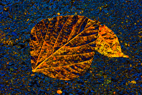 Item #11128123256113201505825332092376579448973501376012613523417643024984926322689 Media