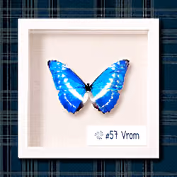 #57 Vrom