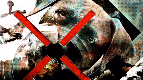 Item #27925948286473700579059248074920829623872515407863478794341054375725142900737 Media