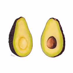 Avocado #6