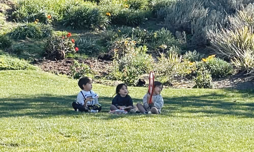 Item #62437439308456912945506612413278711304465204586047969314274856208534855483393 Media