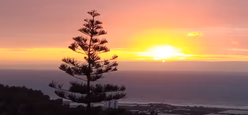 Item #18035216539859225192550073548721406872950624358459369098746687368131371859969 Media