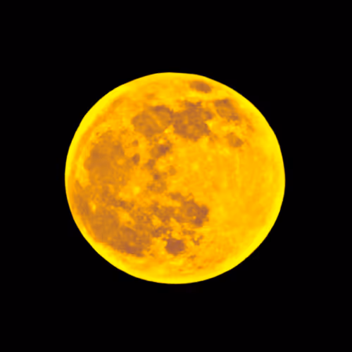 Item #101983409700396166080613188018216707096235636634703201961680544334687489753089 Media