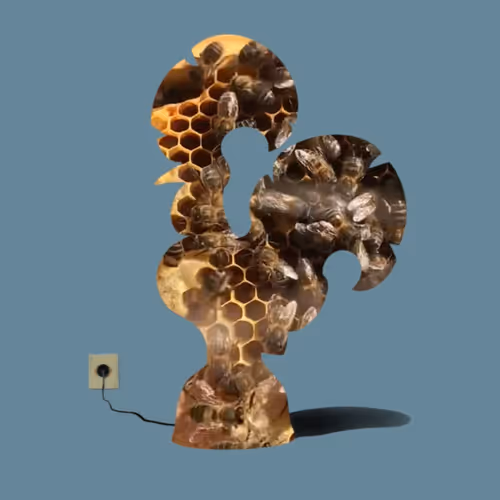 59384754873165776513443063201736250141220166655073125537343567119023253487617