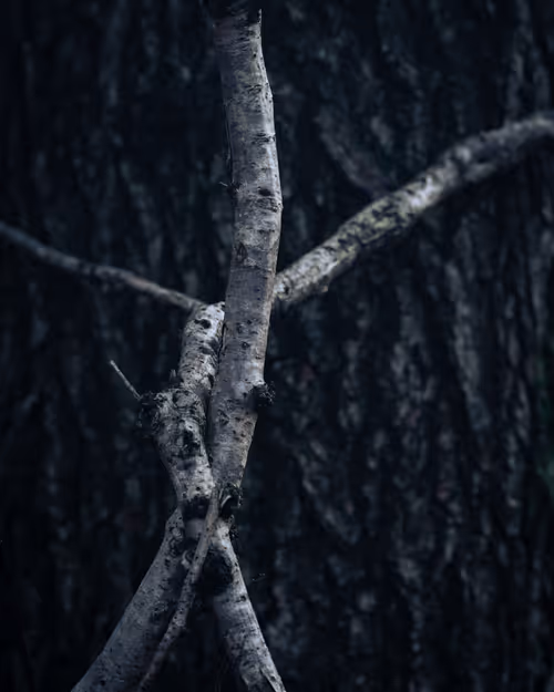 Item #92025450797269199699519638407999947828010124563072321716364901893553025712129 Media