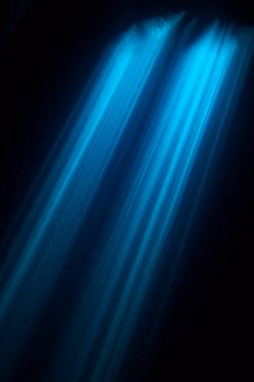 Item #25422583313571458459737529461820134862175223810011730482418987926642048892929 Media