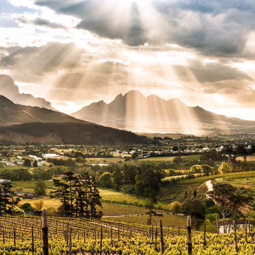 Vinícolas de Franschhoek
