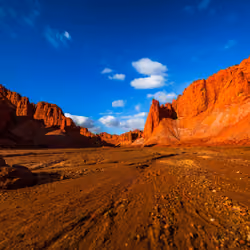 RedStone Forest