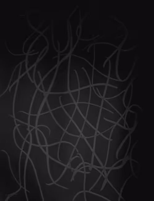 Item #20934789157980051538547438060703325984479248616101493732384175138783811862530 Media