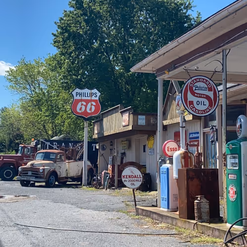 Cryptoturtle33 Collection - old