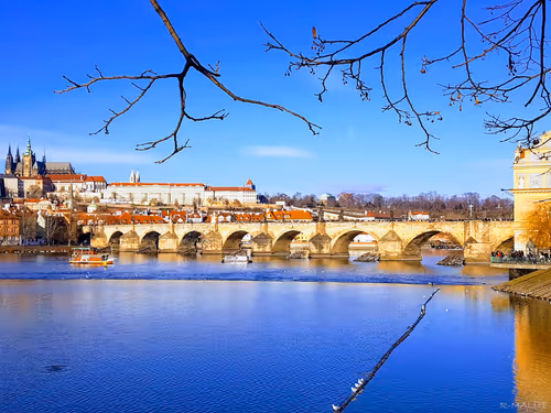 Item #5274611267603092575847489489922697527691106168012250499386561377602658893825 Media