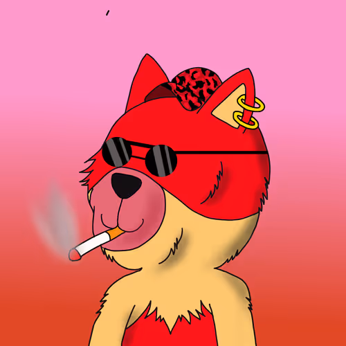 FunkyBearClub