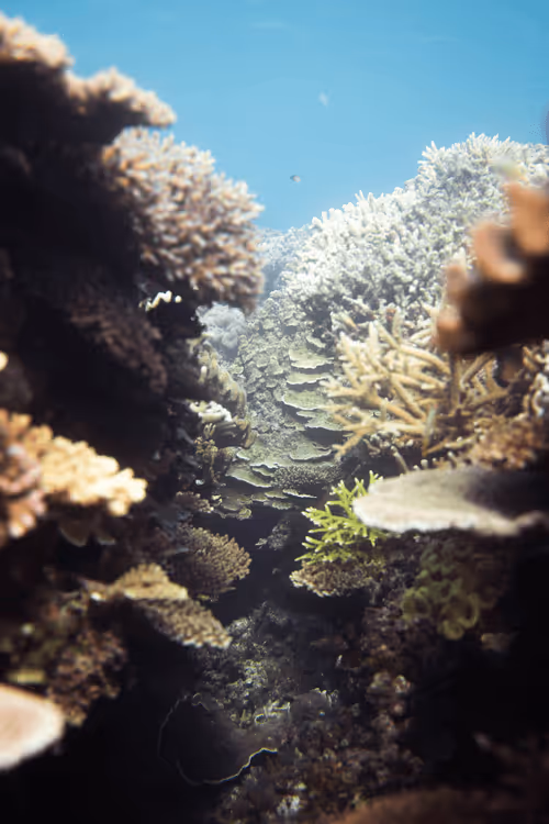 Item #99926930229538675438917090631619995362212113699001151744757174480423874461796 Media