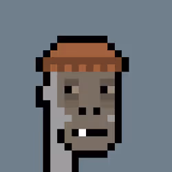 113692178002948377765403601574349095270839008870100010950383253976225287241729