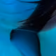 88523651671195551734244529557336665795210692725546500582357482501483335254017