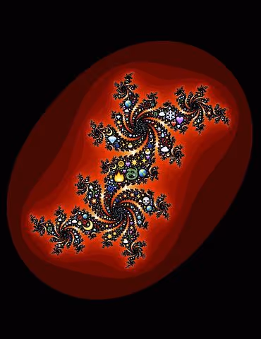 Untitled Collection #81182553