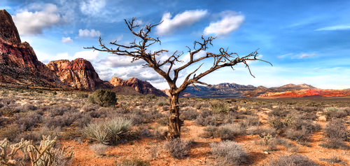 Item #47249959134198920907423674863097916784609466470325481649030705716235977359361 Media