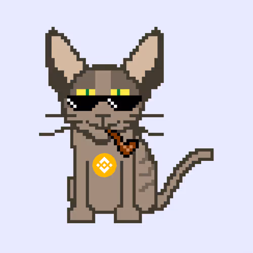 Cryptorobocat Wtm9GNHTED
