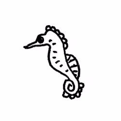 Seahorse 