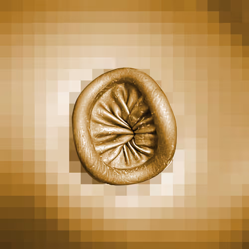 Item #112443806312787433902540167291229144376569237612293574157816900165399614586881 Media