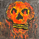 acrylic skulls
