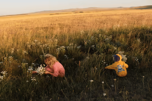 Item #48679334386113124300228803264312006813503011651693068006927871329722387398657 Media