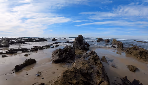 Sold 2022. See the new "The Harbor and Ocean" gallery for 2023.