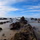 Sold 2022. See the new "The Harbor and Ocean" gallery for 2023.
