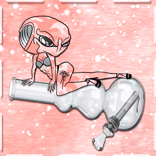 Item #109042038186066953330220949848526093336034299754543175109562740552946027593729 Media