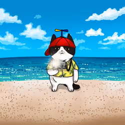 FAT CAT PHOTOGRAPHER SUMMER VACATION