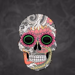 SofroSkull