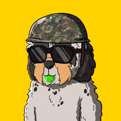 80546228349683827817789125734955362634423012619706400746399291902535556661249