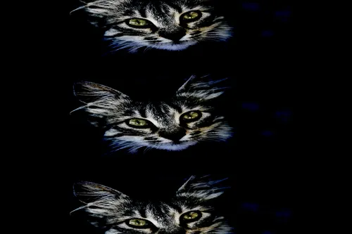 Item #95930744612989253264341458363878669706731092846429446161851758919083846795265 Media