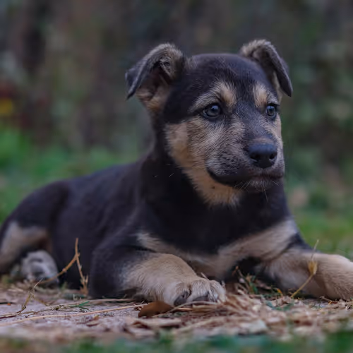 24528137236716378836005222765059934114187861086378420293351673740488045756417