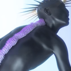 spine