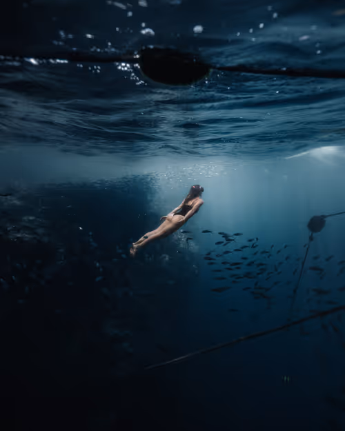 Item #28576884558960261702679330541156353592021494721255183711613472597995312644097 Media