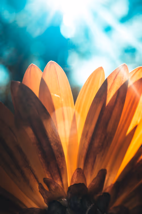 Item #61140817841535323188943582947873458398896939162862574355994582764517274419201 Media