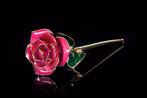 Item #22969295015453494261367825121290153757090535459802507599951433500248336498689 Media