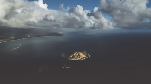 Item #78064220502355505726869985793984720926867023015257308531581829180192691585025 Media