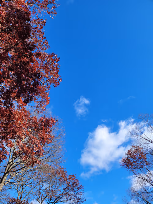 Item #34085441569699423005310991372941828806155687762378495952169943235159220289537 Media