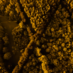 YELLOW CrossRoads from the Sky 5/8