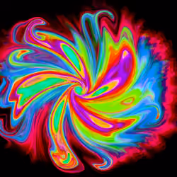 Pride Burst Flower